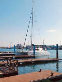 Family-Friendly Adventure on Jeju's Calm Waters