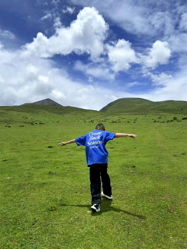 Yuzi West Grassland