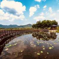 🏰🌉 *Step into History: Byeongyeongseong’s Military Fortress Bridge (병영성 홍교)* 🚶♂️🍂