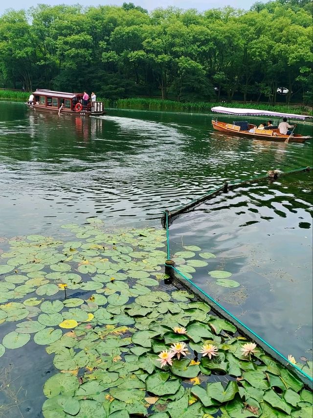 Hangzhou’s Best-Kept Watercolor Painting