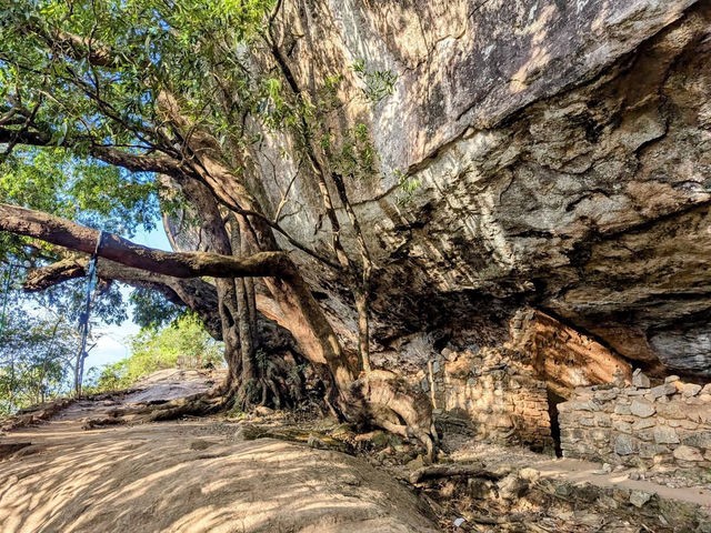 🌄✨ *Pidurangala Rock: Sri Lanka’s Secret Sunrise Rival to Sigiriya* 🦁🌅