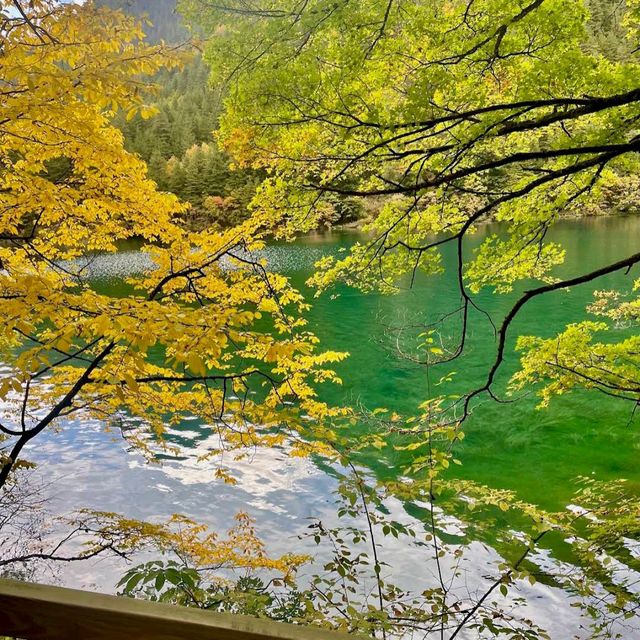 Jiuzhaigou Valley (Sichuan)