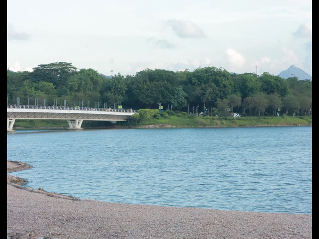 🌳 Shenzhen Bay Park + Talent Park: Double the Green, Double the Fun! 🚴‍♀️