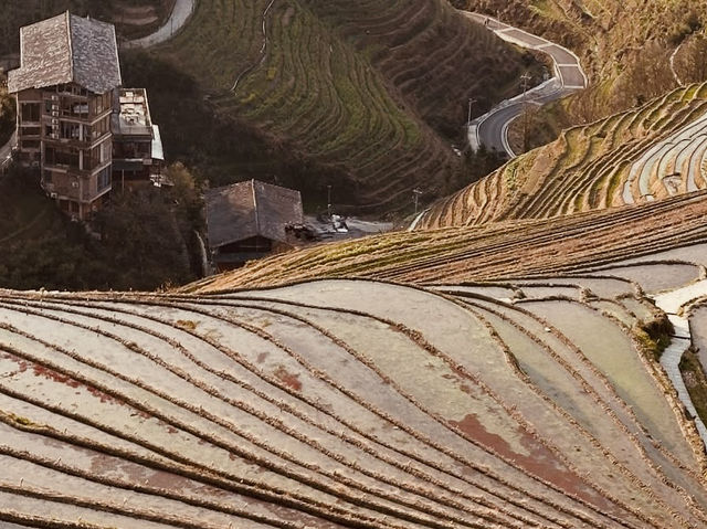 Longsheng Rice Terraces: A Golden Ladder to the Sky