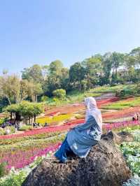 ดอยตุง สวนแม่ฟ้าหลวง