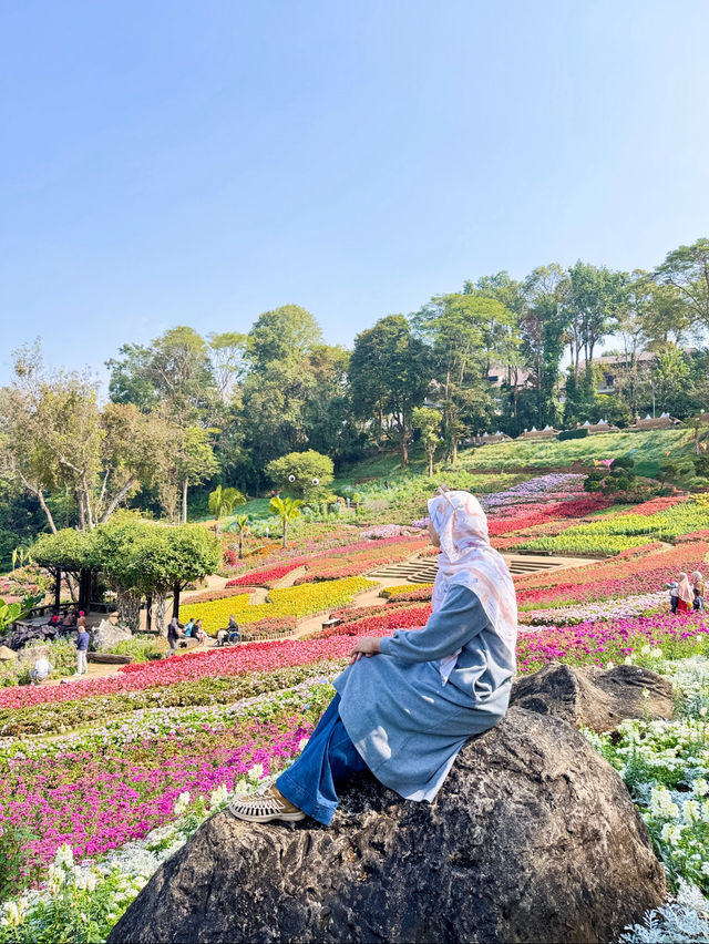 ดอยตุง สวนแม่ฟ้าหลวง
