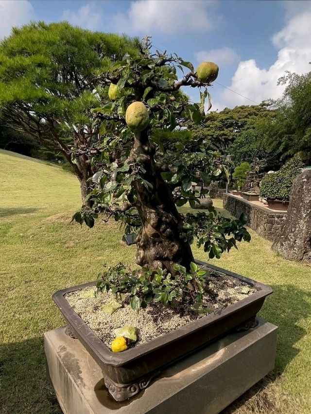 Spirited Garden – A Peaceful Retreat in Jeju
