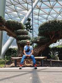 Most beautiful airport in the world
