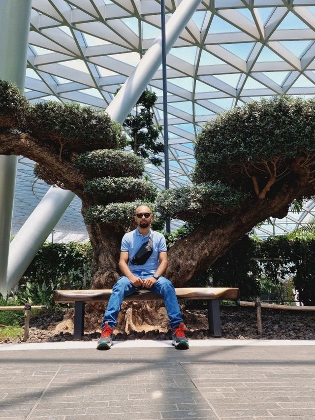 Most beautiful airport in the world