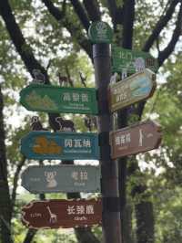 Hongshan Forest Zoo – Where Animals Reign Supreme