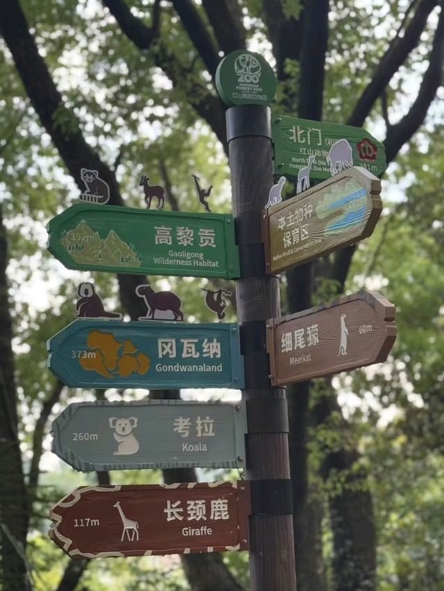 Hongshan Forest Zoo – Where Animals Reign Supreme