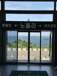 초특급 제주도 여행일지