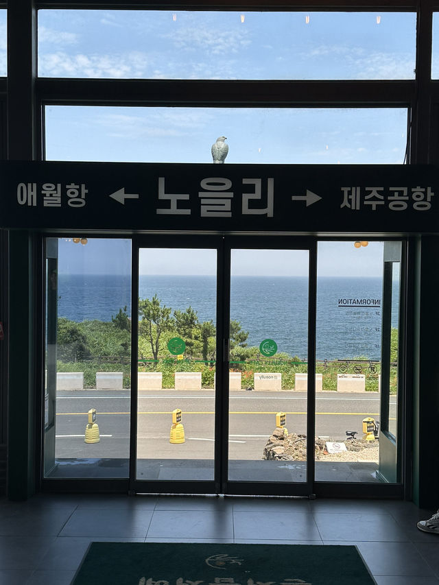 초특급 제주도 여행일지