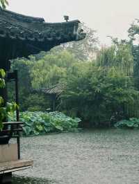 Bridges, Boats, and Ancient Beauty: The World of Wuzhen