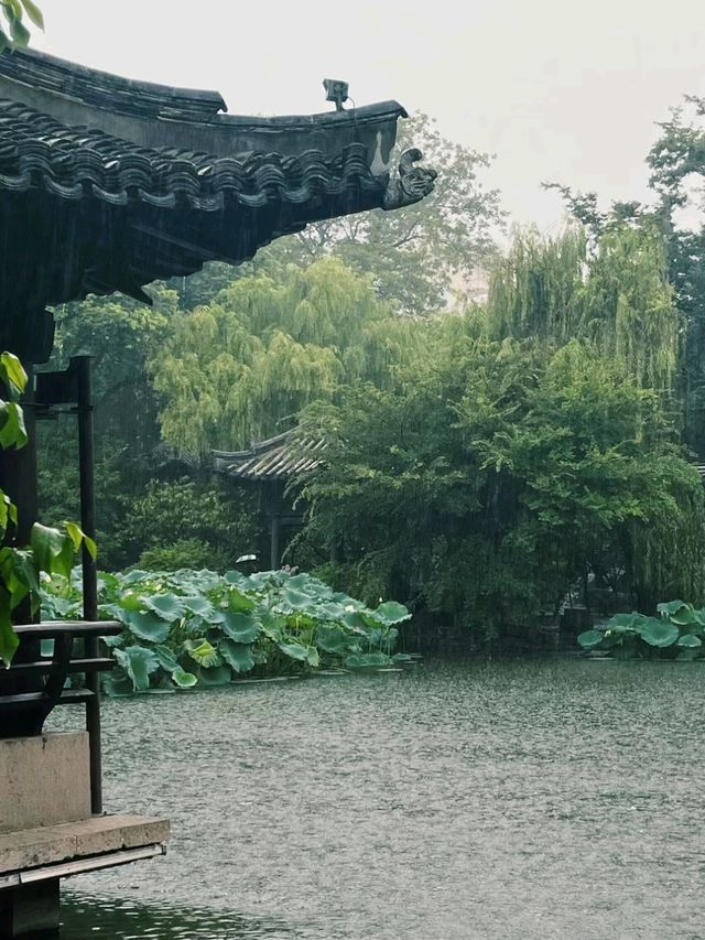 Bridges, Boats, and Ancient Beauty: The World of Wuzhen