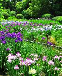 自然樂園—紫式部公園
