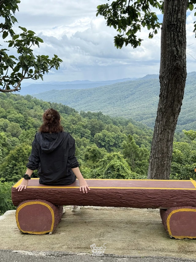 ไปเติมพลังให้ธรรมชาติโอบกอดกัน !!! ไปเติมพลังให้ธรรมชาติโอบกอดกัน !!!