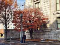 Hokkaido,Sapporo