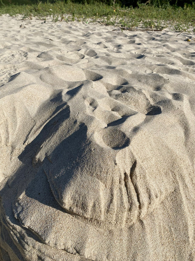 香港｜雙鹿石澗——四壘潭瀑布 ⛰️ 