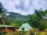 Tropical Paradise and Crystal Waters in Moorea