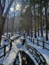 올 겨울은 일본 눈의 낭만, 홋카이도에서 보내보세요! ❄️