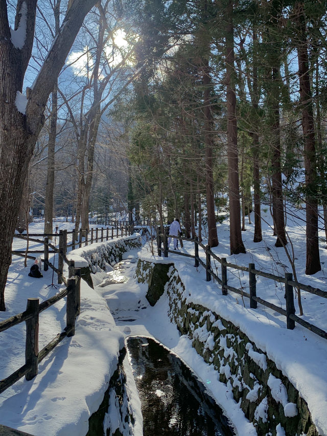 올 겨울은 일본 눈의 낭만, 홋카이도에서 보내보세요! ❄️