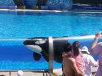 📍 아이들과 가기좋은 샌디에이고 씨월드 (SeaWorld San Diego)