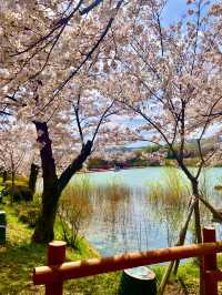 ✨경주 감성여행 코스 추천: 보문사·첨성대·동궁과 월지✨