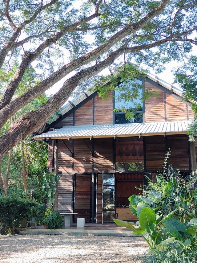 Chiang Mai ☕ Coffee Hopping – Café Gems in Nature