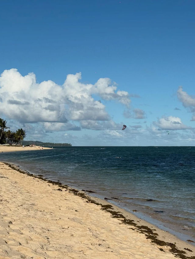 Unwinding on the Stunning Beaches of Mauritius