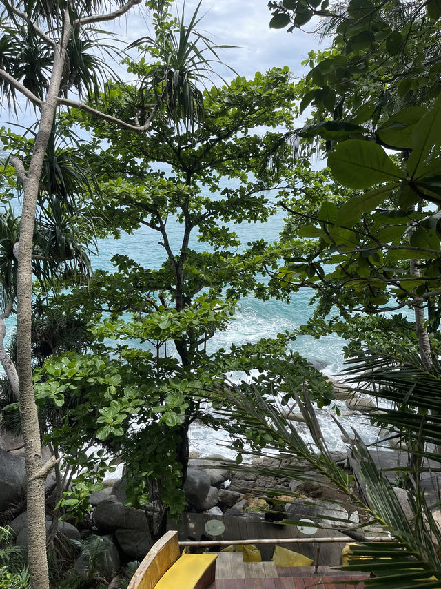 ภูเก็ตไปไหนดี ขอแนะนำคาเฟ่เสื่อฝืนหมอนใบ 🥥