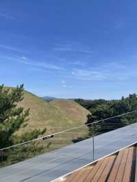 【慶州 경주】 屋上のある美術館👩🎨