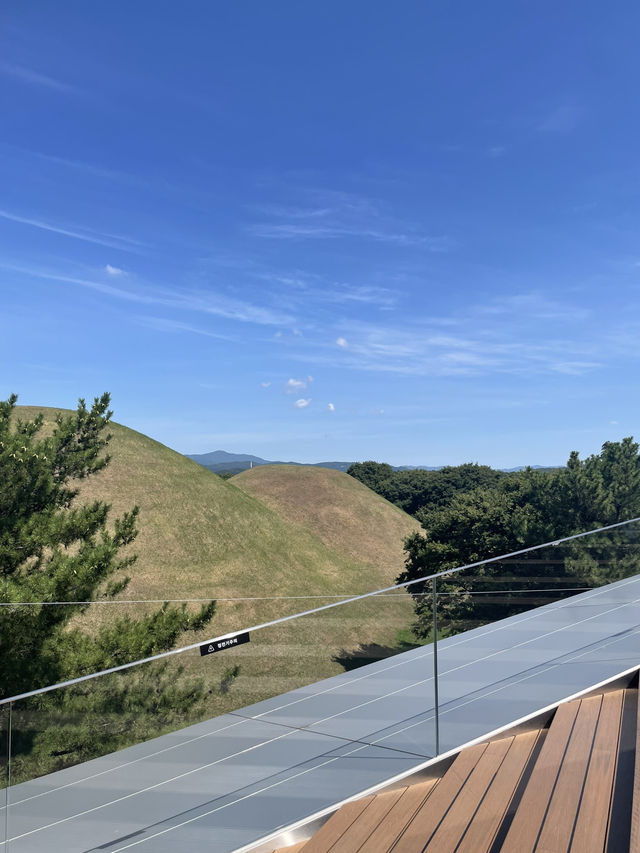 【慶州 경주】 屋上のある美術館👩🎨 【慶州 경주】 屋上のある美術館👩🎨