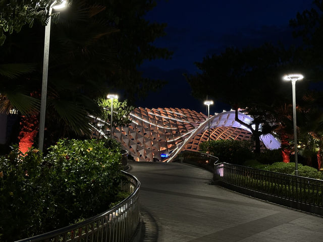 เดินเล่นรอบสะพานมังกร ตอนกลางคืน🐉🌃
