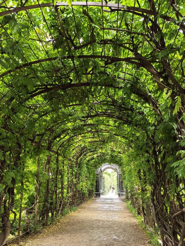 On the Road Through Europe: Long Road Trip - Austria