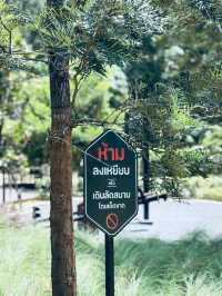 Into the Forest Cafe — กระบี่ 🍵