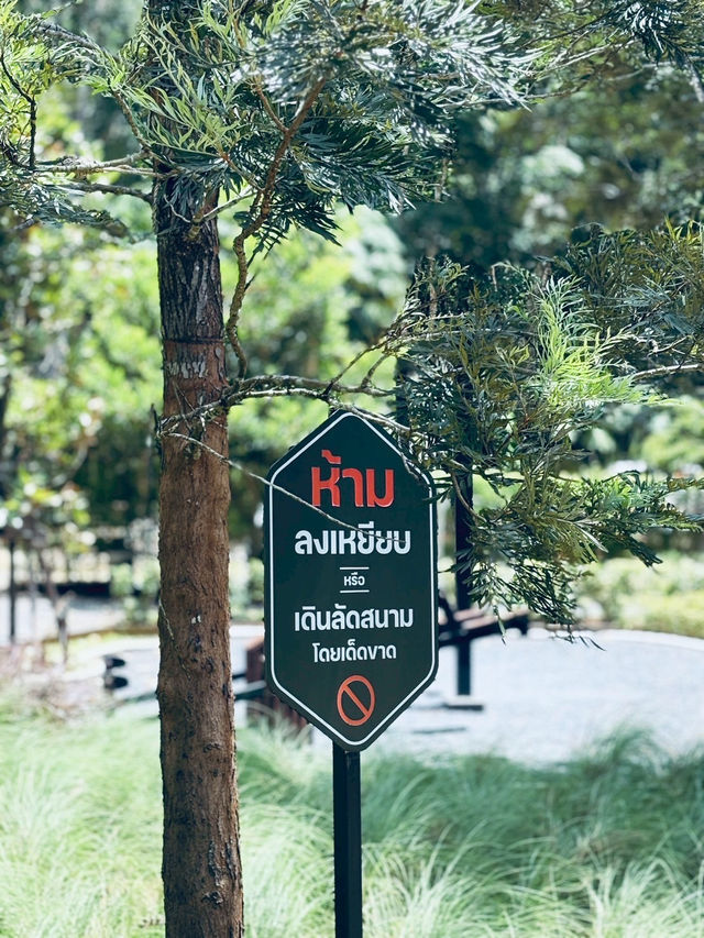Into the Forest Cafe — กระบี่ 🍵