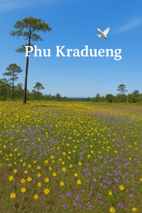 Phu Kradueng