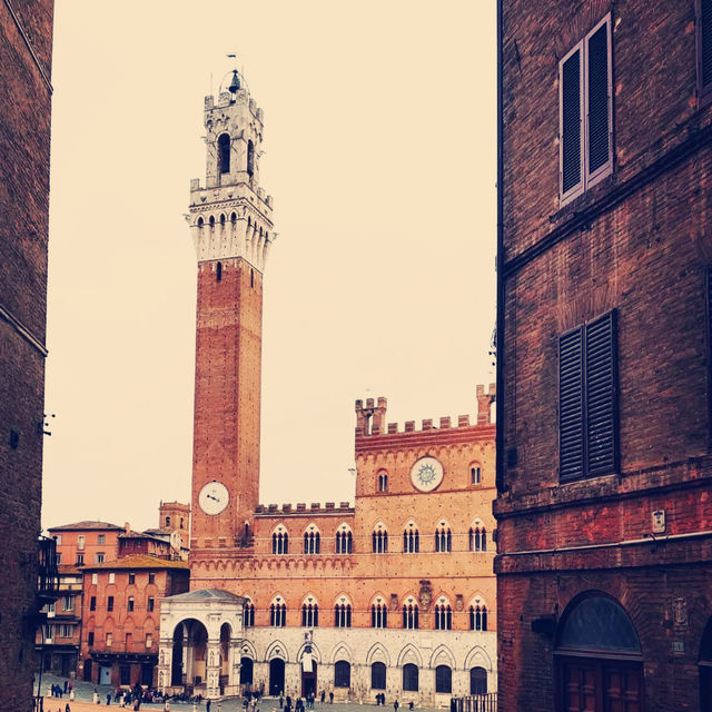 Medieval Soul: My Solo Trip to Siena Medieval Soul: My Solo Trip to Siena