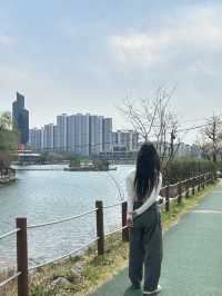 도심 속 힐링 산책, 명암저수지 🌿🦆