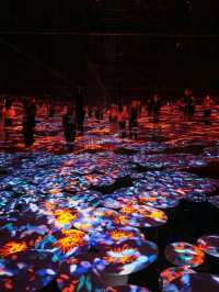 Teamlab borderless, borderless between you and Tokyo