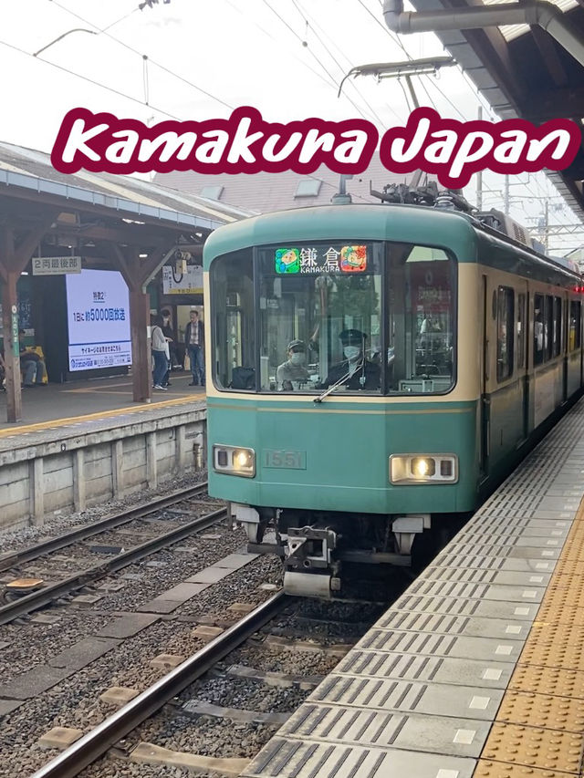 Kamakura ญีปุ่น 🇯🇵