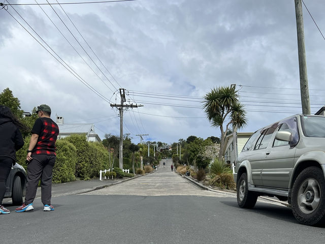 紐西蘭旅遊景點—St. Paul’s Cathedral ⛪️