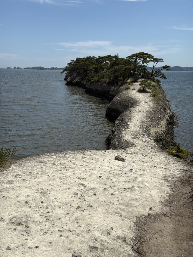 松島 馬の背🌊自然が生み出した絶景スポット
