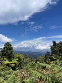 Cameron Highlands - city in the mist