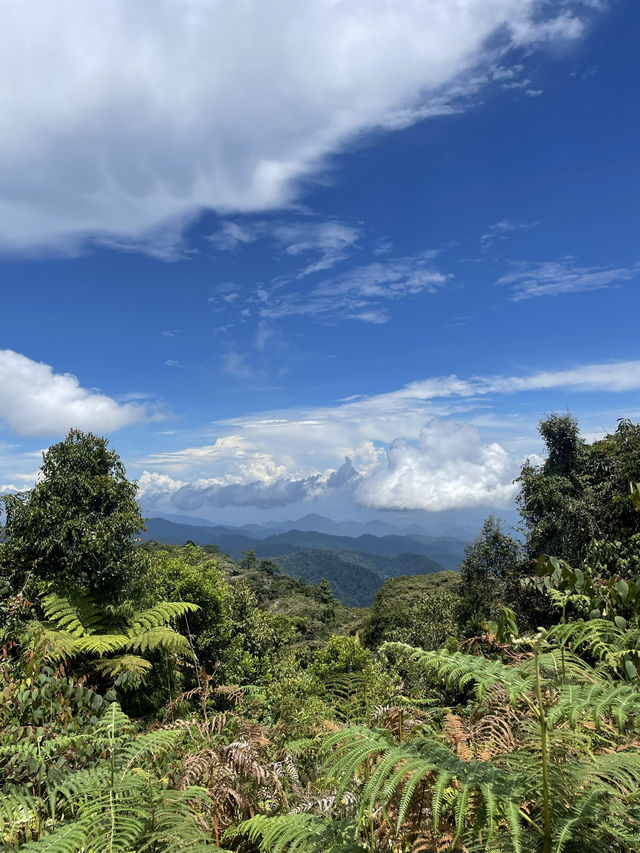 Cameron Highlands - city in the mist