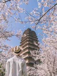 🏯 Xi’an – “Half of China’s History in One City”