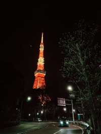 2025.03東京櫻花季行前花費