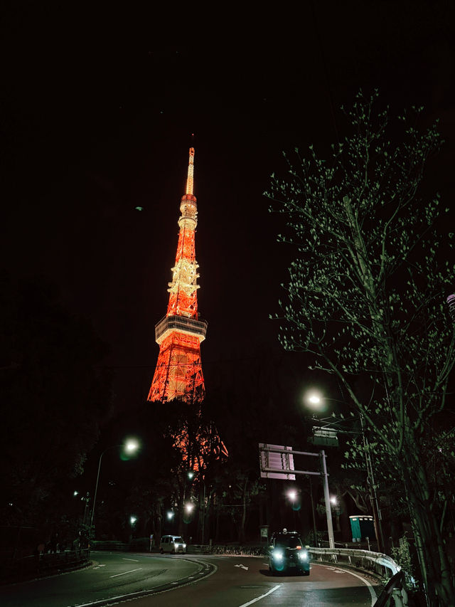 2025.03東京櫻花季行前花費 2025.03東京櫻花季行前花費
