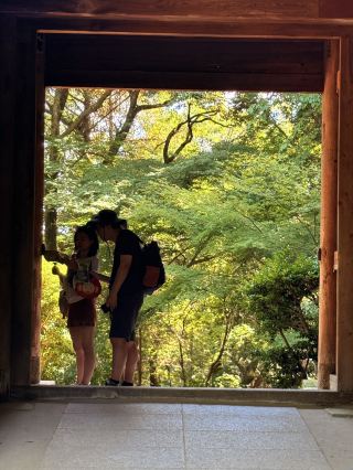 히메지｜마지막 사무라이와 자객 섭은랑이 사랑한 촬영지, 아름다운 쇼샤산 엔쿄지